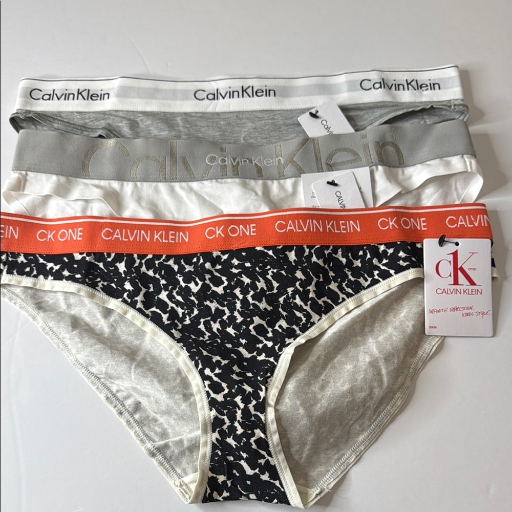 Calvin Klein Assortment of Bikini Panties 3 Pairs - Size Large / 7